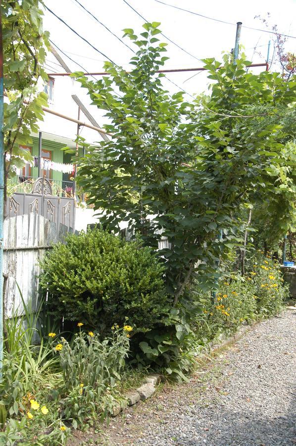 Guest House Barbi Batoumi Extérieur photo